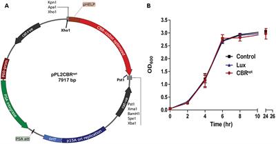 Development of a Click Beetle Luciferase Reporter System for Enhanced Bioluminescence Imaging of Listeria monocytogenes: Analysis in Cell Culture and Murine Infection Models